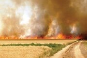 سلامت عمومی و هوای پاک؛ خط قرمز قاطع دستگاه قضایی/ بازداشت فوری متخلفان سوزاندن بقایای کشاورزی