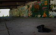 مرگ مشکوک ۵ بی‌خانمان در یک مسیر پیاده‌روی؛ پای قاتل زنجیره‌ای در میان است؟/ پلیس در حال بررسی احتمال ارتباط پرونده‌ها