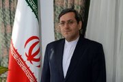 قشقاوی: اگر یک سند تخلف از هیئت‌های نظارت رباط‌کریم و بهارستان بیاورید؛ استعفا می‌دهم!
