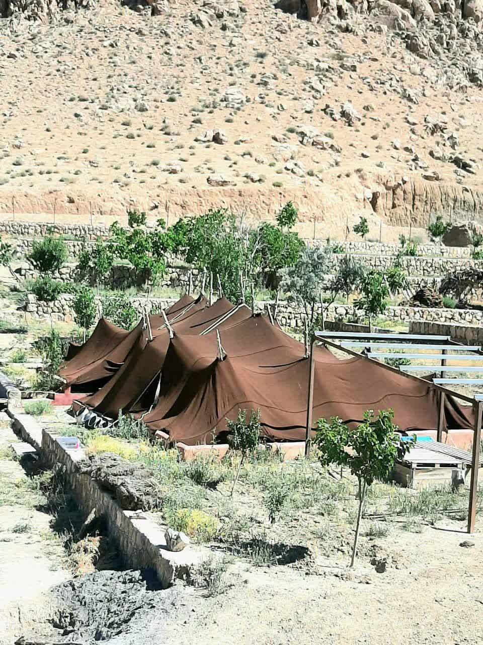 عشایر سمنان؛ تولیدکنندگان خاموشی که در سختترین شرایط پای دام و زندگی ایستادهاند