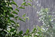 رگبار و رعدوبرق در ارتفاعات هرمزگان؛ افزایش نسبی دما در راه است