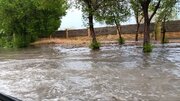 آبگرفتگی شدید معابر شاهین‌دژ پس از بارش باران + فیلم