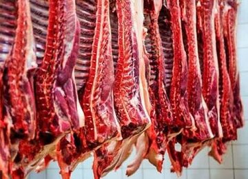 فارس تولیدکننده ۶۵ هزار تن تخم‌مرغ/تولید ۳۶ هزار تن گوشت قرمز