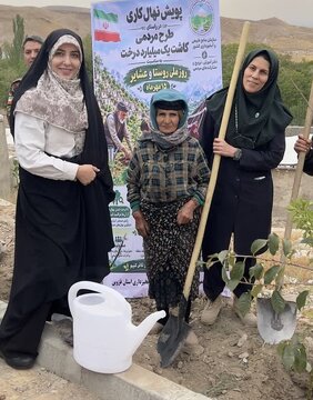 نهالکاری بدون مراقبت نتیجهای ندارد