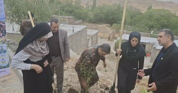 نهالکاری بدون مراقبت نتیجهای ندارد