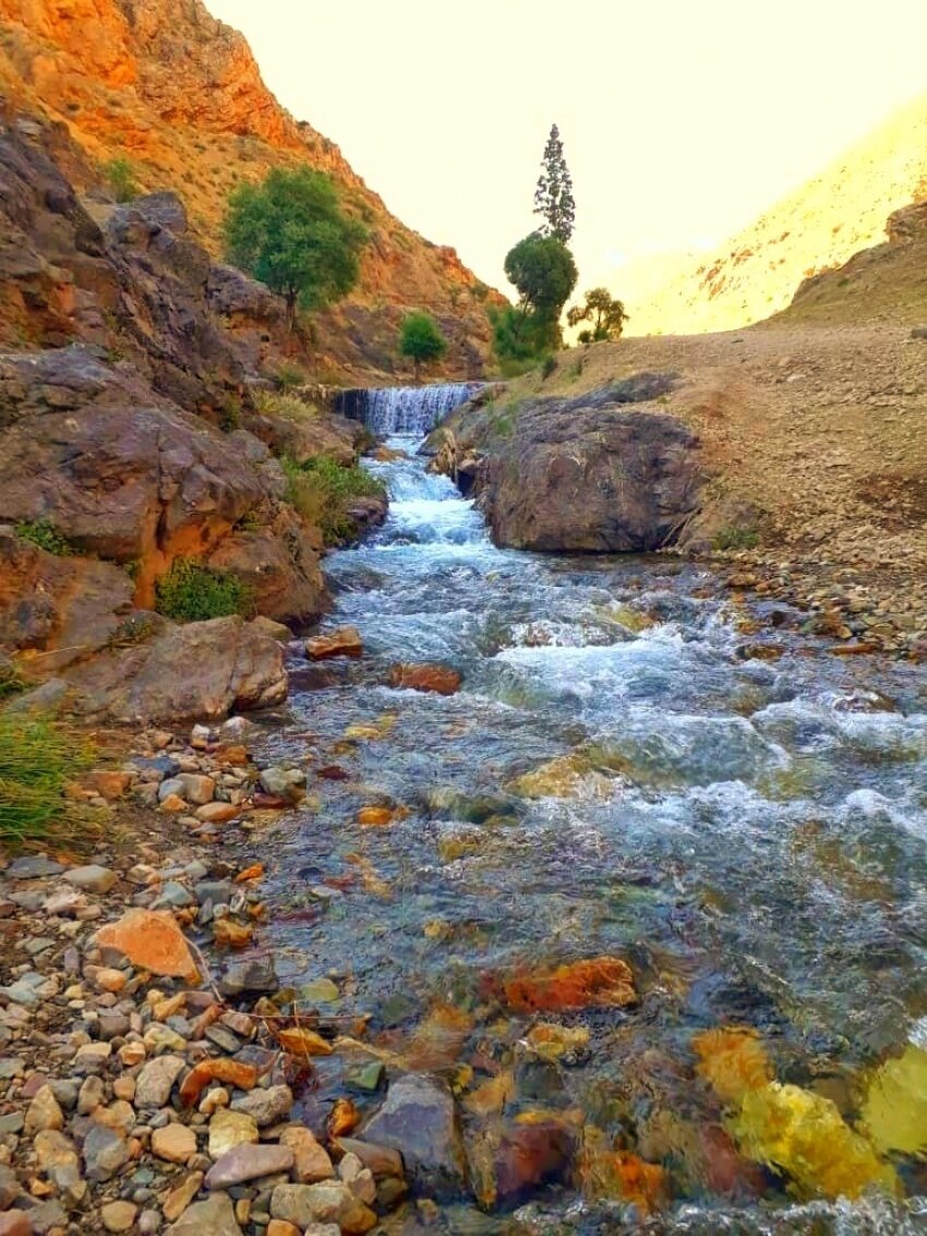 پاییز را همین نزدیکی پیدا کنید/ ۵ مقصد برای سفر یکروزه پاییزی اطراف تهران