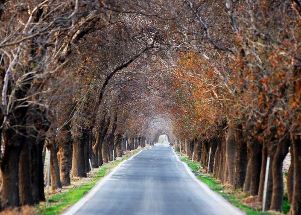 پاییز را همین نزدیکی پیدا کنید/ ۵ مقصد برای سفر یکروزه پاییزی اطراف تهران