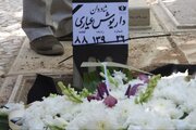 داریوش آرام آمد، بی‌ادعا خلق کرد و در سکوت رفت/ محمود کلاری و رسول صدرعاملی از «داریوش عیاری» گفتند
