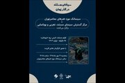 نمایش مستندی درباره رود ارس در موزه هنرهای معاصر تهران