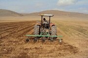 عبور کشت دیم خراسان‌شمالی از مرز ۱۴۲ هزار هکتار