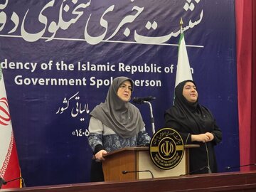 اظهارات سخنگوی دولت درباره آخرین وضعیت خلبانان ایرانی در قطر و بنزین .../ واردات انواع خودرو توسط هتلداران و ایرانیان خارج از کشور متوقف شد