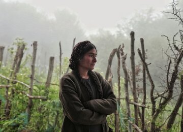 «حنا»، گاو ماده آماده باروری است و «ورزا»، گاو نر گم شده/ تیزر فیلم کوتاه «گوره» رونمایی شد/ اعلام برنامه نمایش در جشنواره فیلم کوتاه تهران