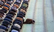 فتوای آیت‌الله خامنه‌ای درباره تذکر به امام جماعت هنگام اشتباه در قرائت نماز