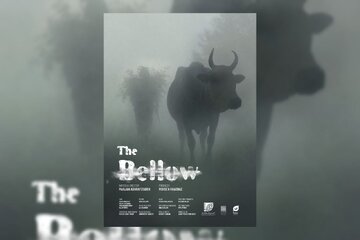 از «فرخندهٔ» «قهرمانِ» اصغر فرهادی تا «ثریا»ی «در انتهای شب»/ سحر گلدوست اینبار در «گوره» دیده شد