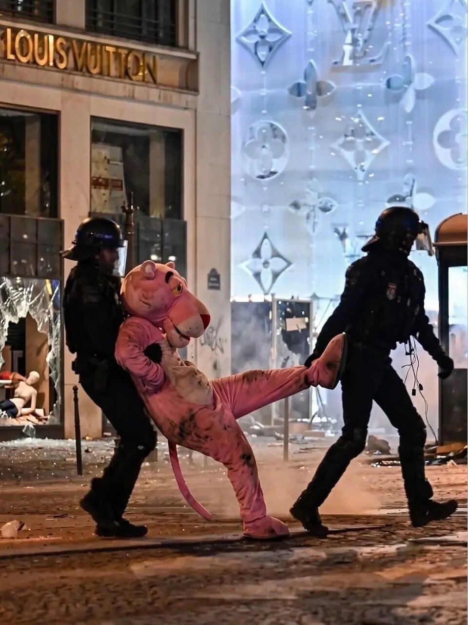 پلنگ صورتی در تظاهرات فرانسه دستگیر شد!/عکس