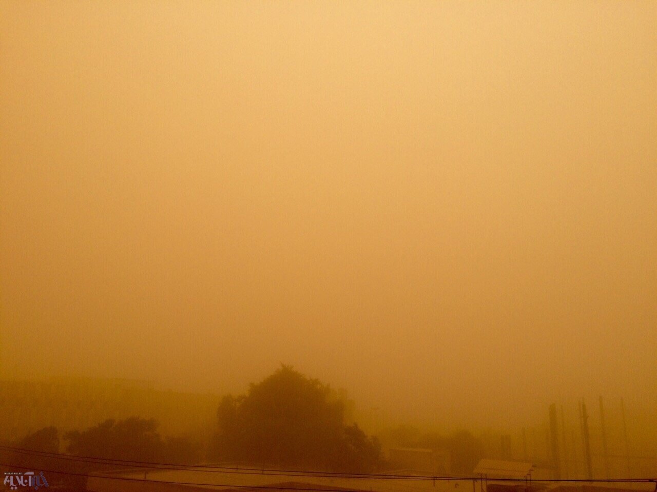 مه زرد رنگ در کالیمانتان مرکزی بر اثر آتش سوزی جنگلی + فیلم