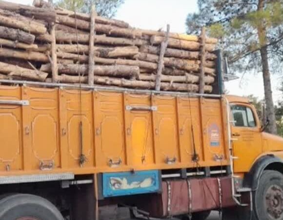 کشف ۱۲هزار کیلوگرم چوب بدون‌مجوز در جهرم فارس