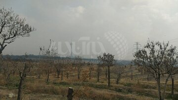 الودگی هوای تهران از پارک پردیسان
