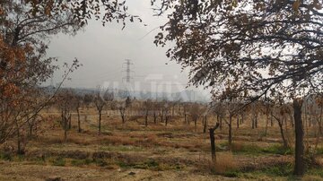 الودگی هوای تهران از پارک پردیسان