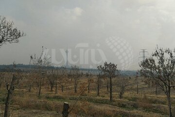 تصاویر | آلودگی هوای تهران از نمای پارک پردیسان