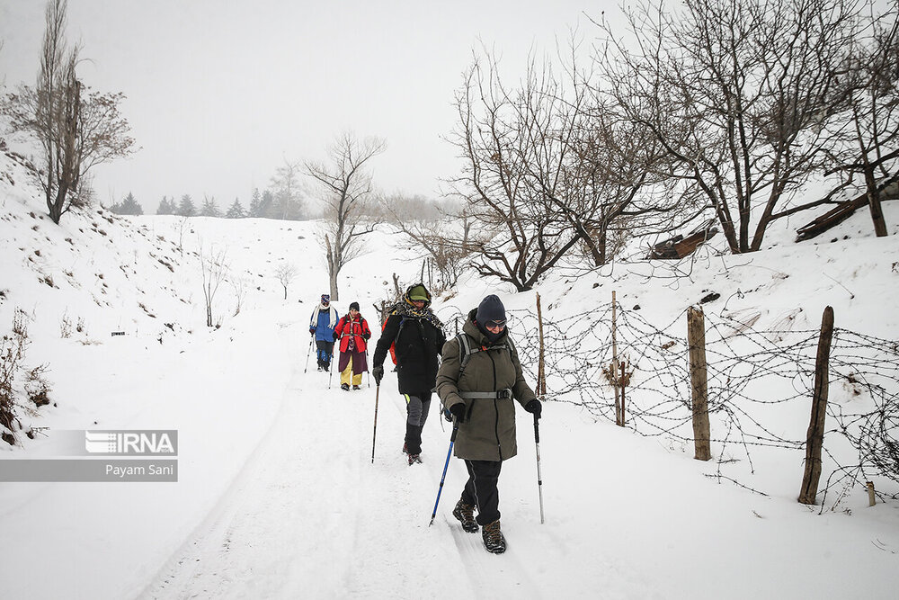 بارش برف در تهران