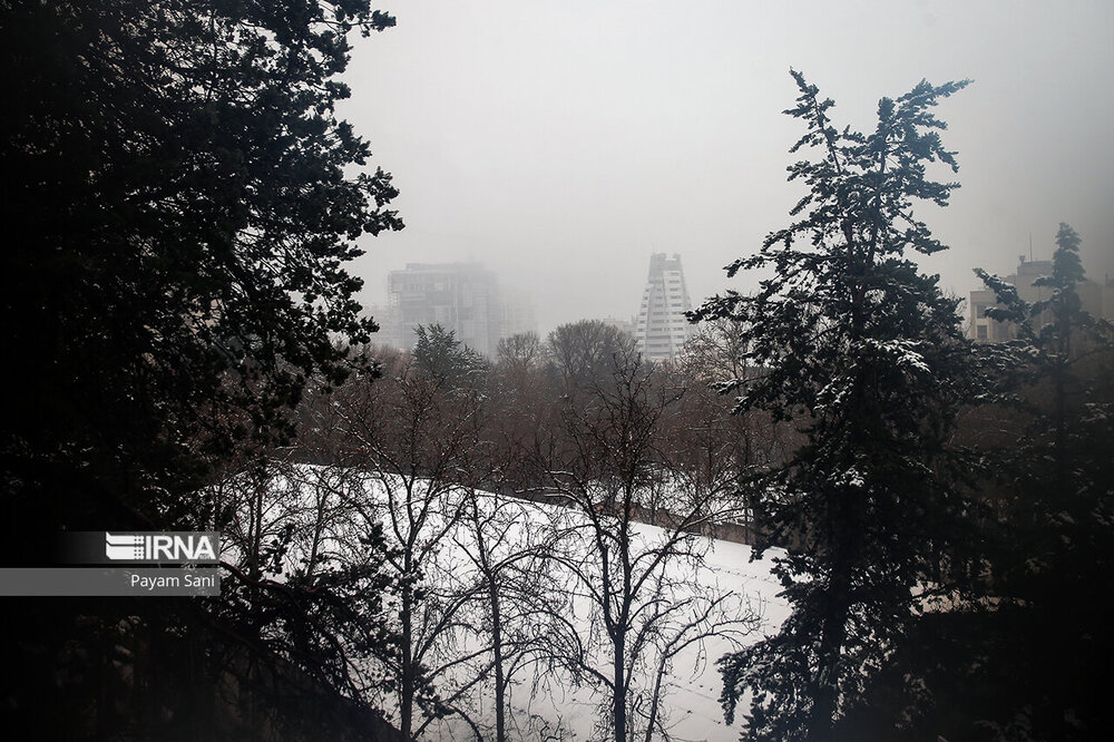 بارش برف در تهران