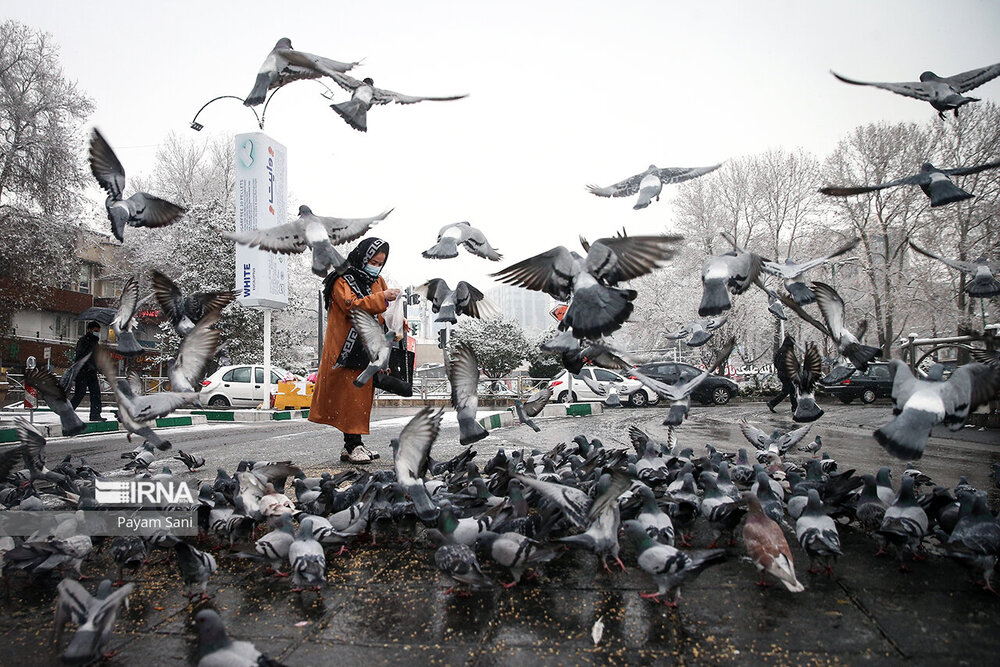 بارش برف در تهران