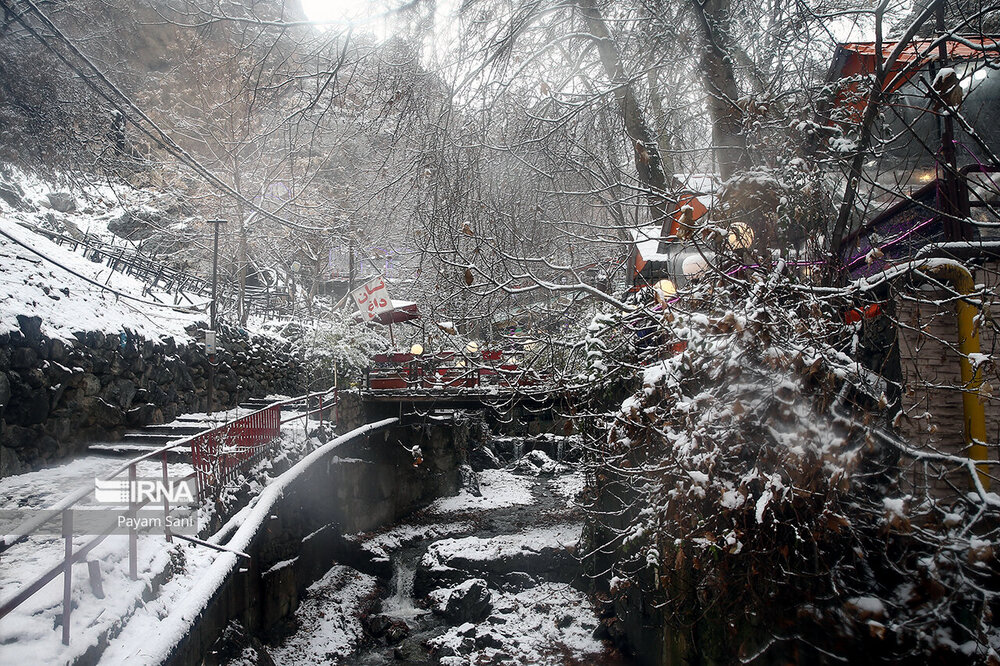 بارش برف در تهران