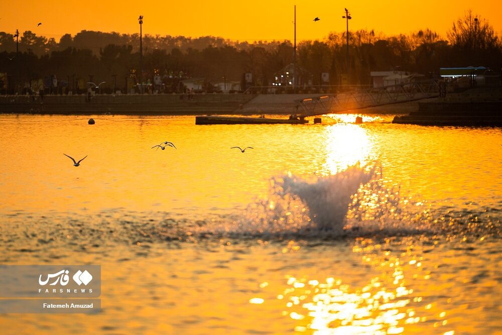 مهاجران سیبری در تهران