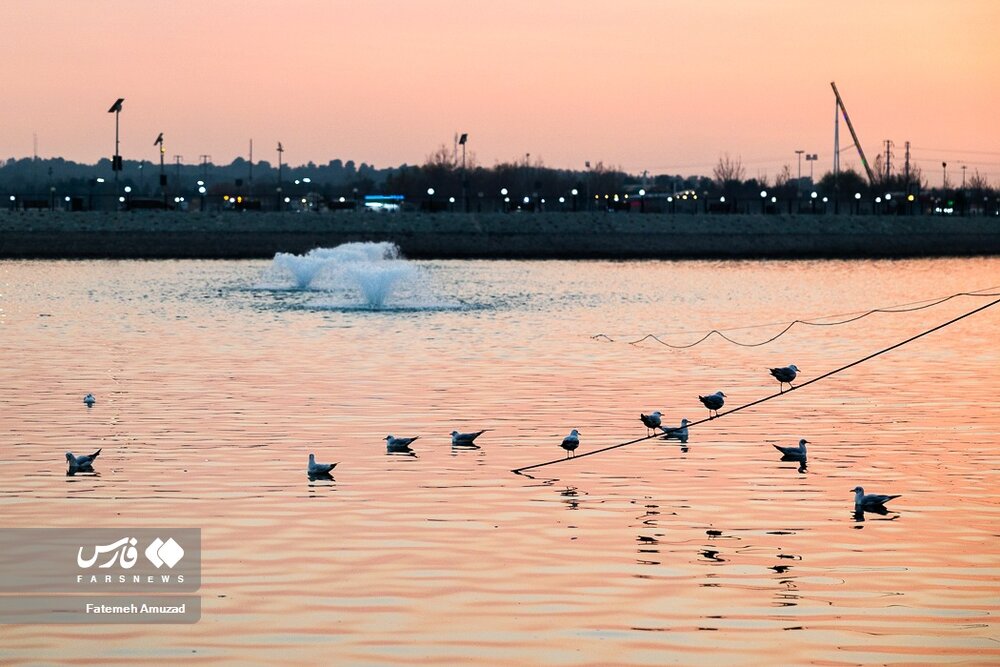 مهاجران سیبری در تهران