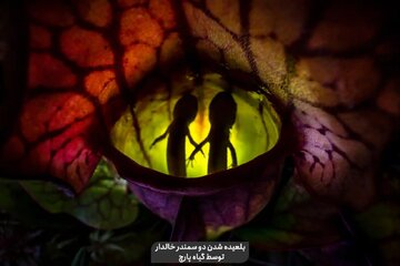 تصاویر | شگفت‌انگیزترین کلوزآپ‌های سال ۲۰۲۳