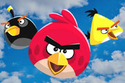 ببینید | پرندگان خشمگین در دنیای واقعی؛ کشف نسخه حقیقی Angry Birds