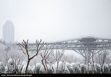 بارش برف در تهران