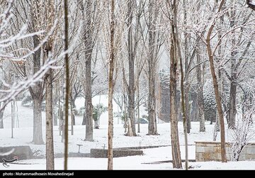 بارش برف در تهران