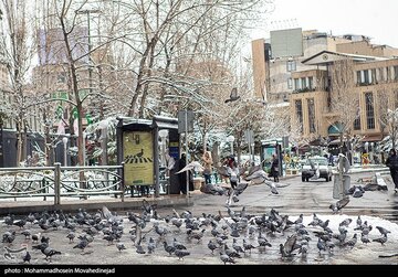 بارش برف در تهران