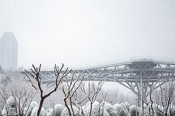  تصاویر | برف تهران را سفید پوش کرد