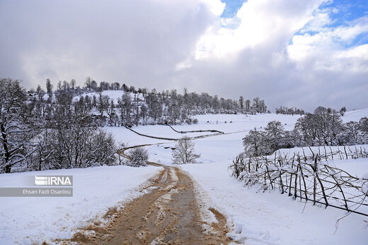بارش برف در بخش های جنوبی ساری و ارتفاعات این شهرستان سبب خوشحالی مردم و کشاورزان و زیبا شدن جاده ها شد.