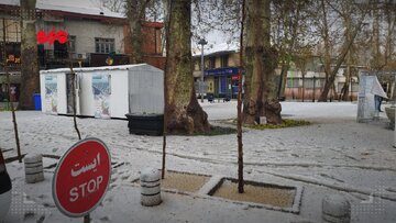 شمال تهران سفیدپوش شد